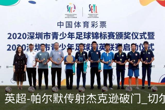 英超-帕尔默传射杰克逊破门 切尔西3-2纽卡斯尔